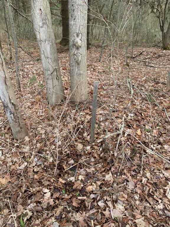 0 County Highway Unadilla, NY 13849 - Photo 3 of 19