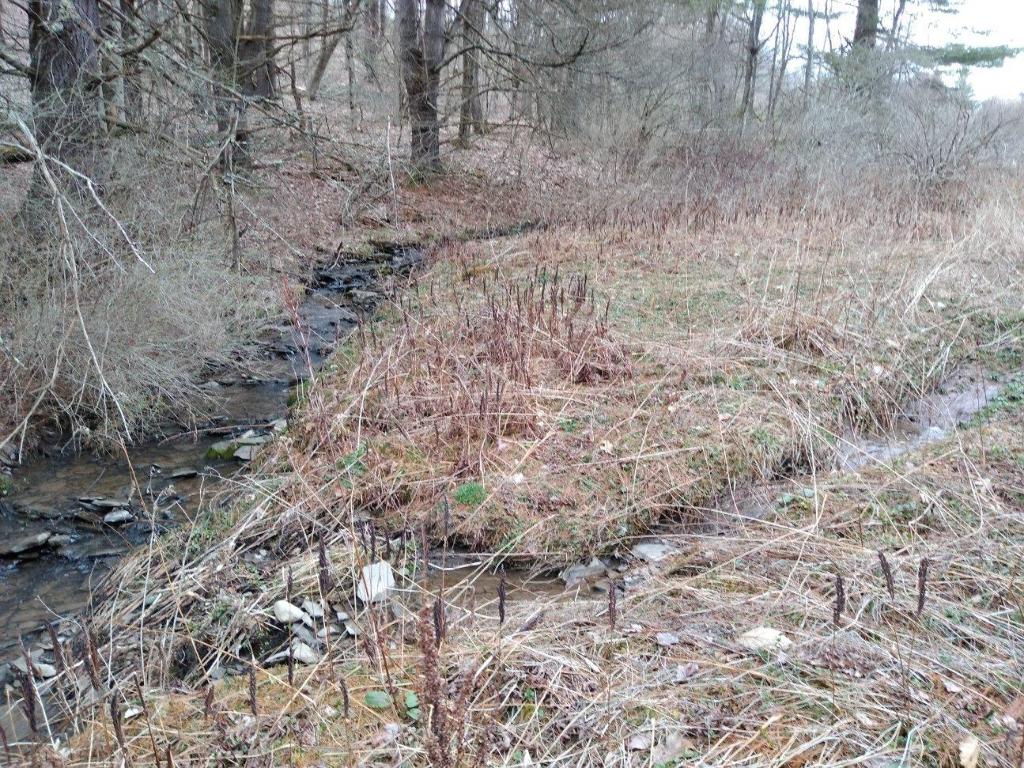 0 County Highway Unadilla, NY 13849 - Photo 8 of 19