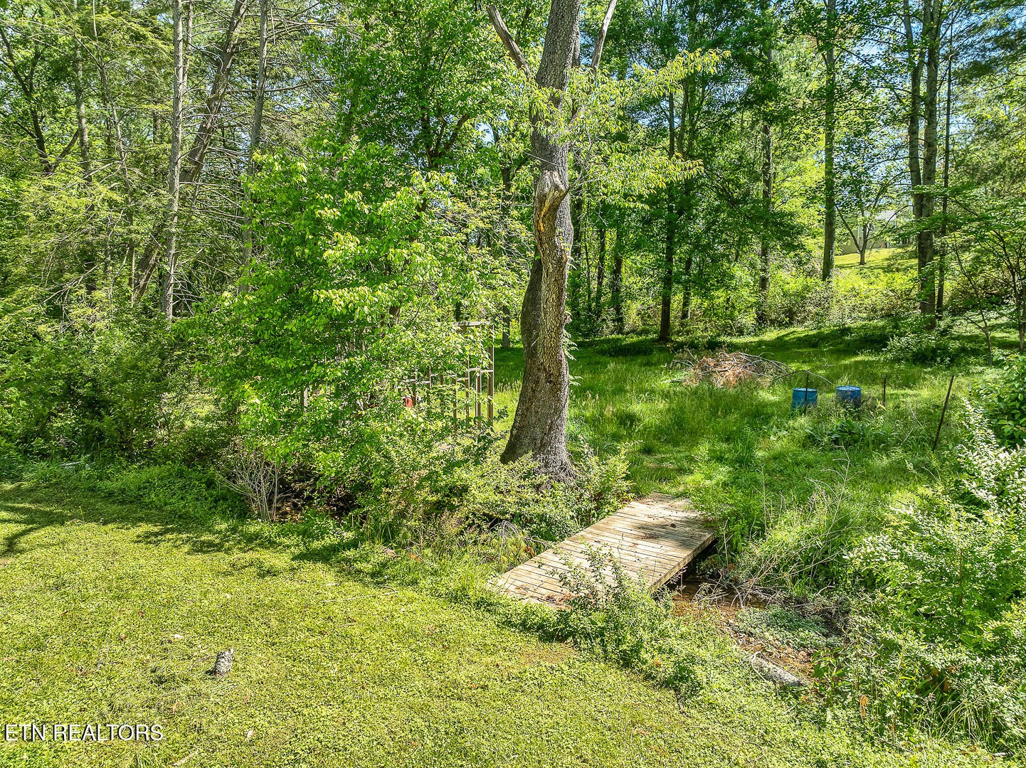 105 Rand Circle Oak Ridge, TN 37830 - Photo 6 of 37