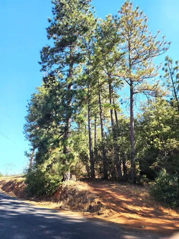 a view of outdoor space and yard