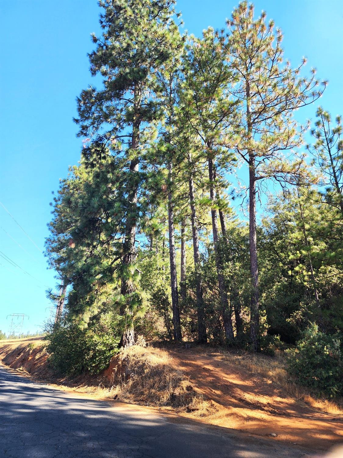 10550 Tabeaud Road Pine Grove, CA 95665 - Photo 5 of 6 a view of outdoor space and yard