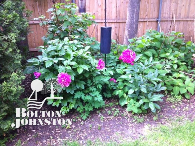 155 Vendome Road Grosse Pointe, MI 48236 - Photo 56 of 67 Garden