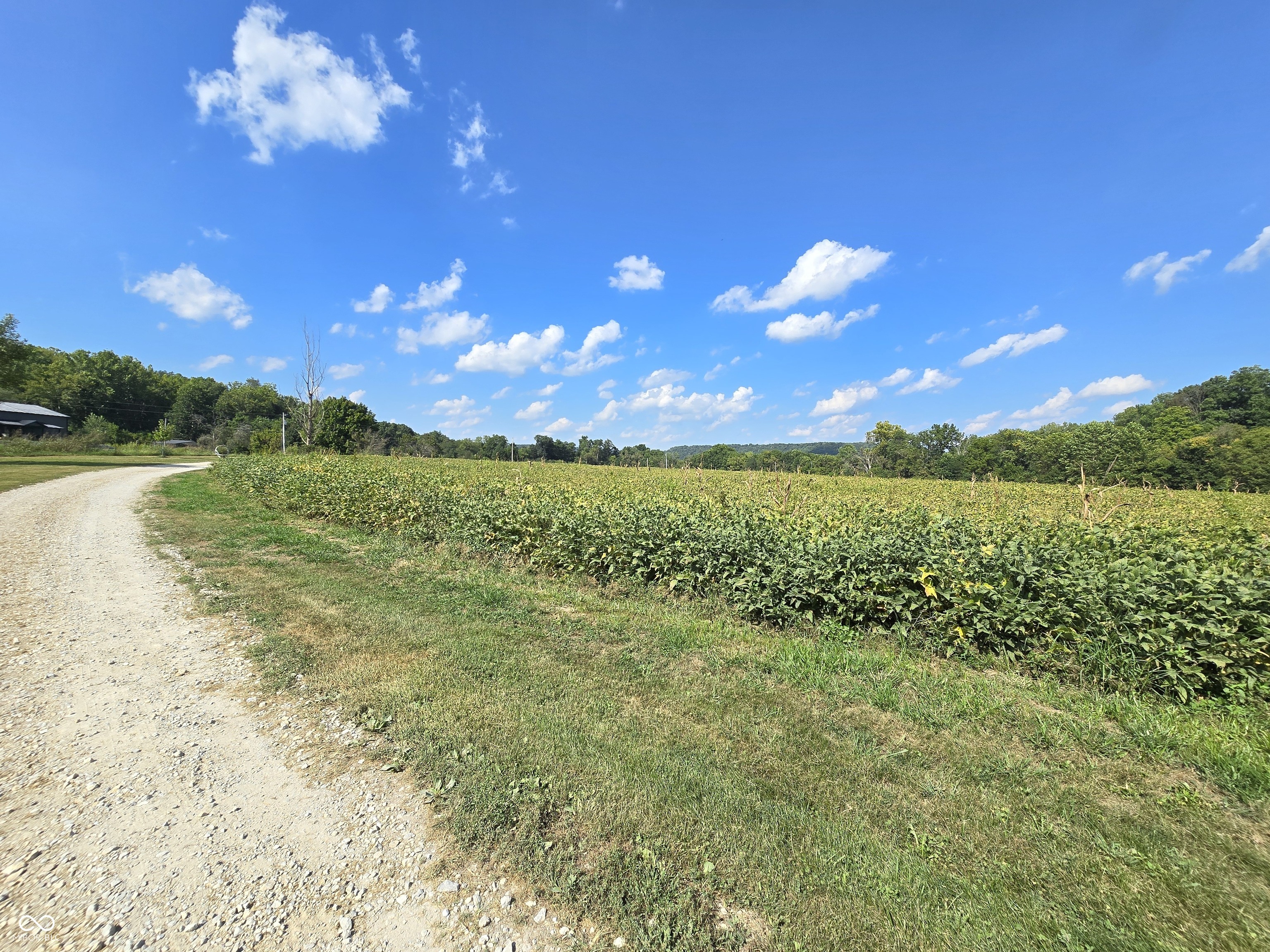 9099 Pipe Creek Road Metamora, IN 47030 - Photo 9 of 54 Gallery Image 9