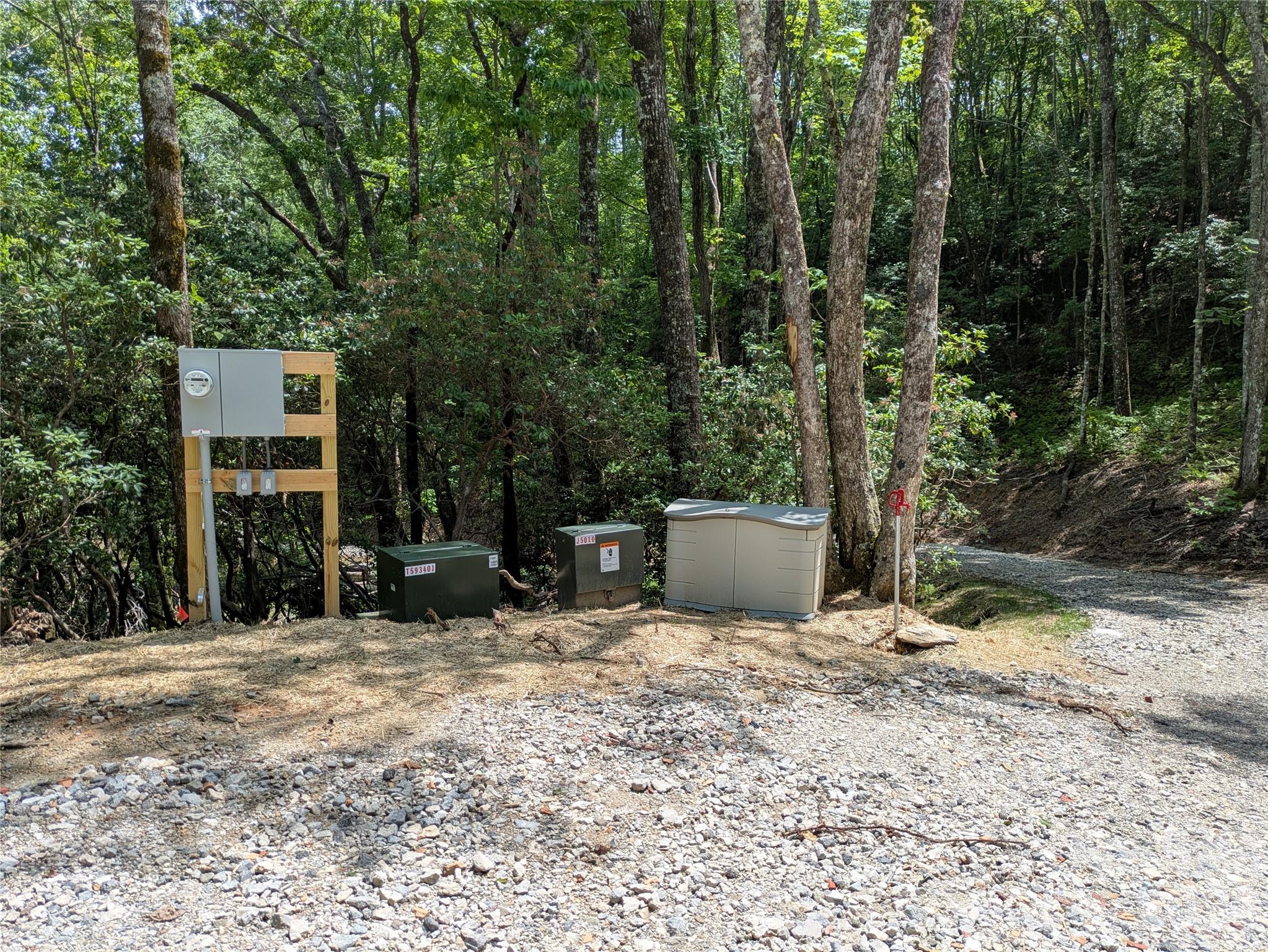 313 Line Runner Ridge Road Brevard, NC 28712 - Photo 7 of 33