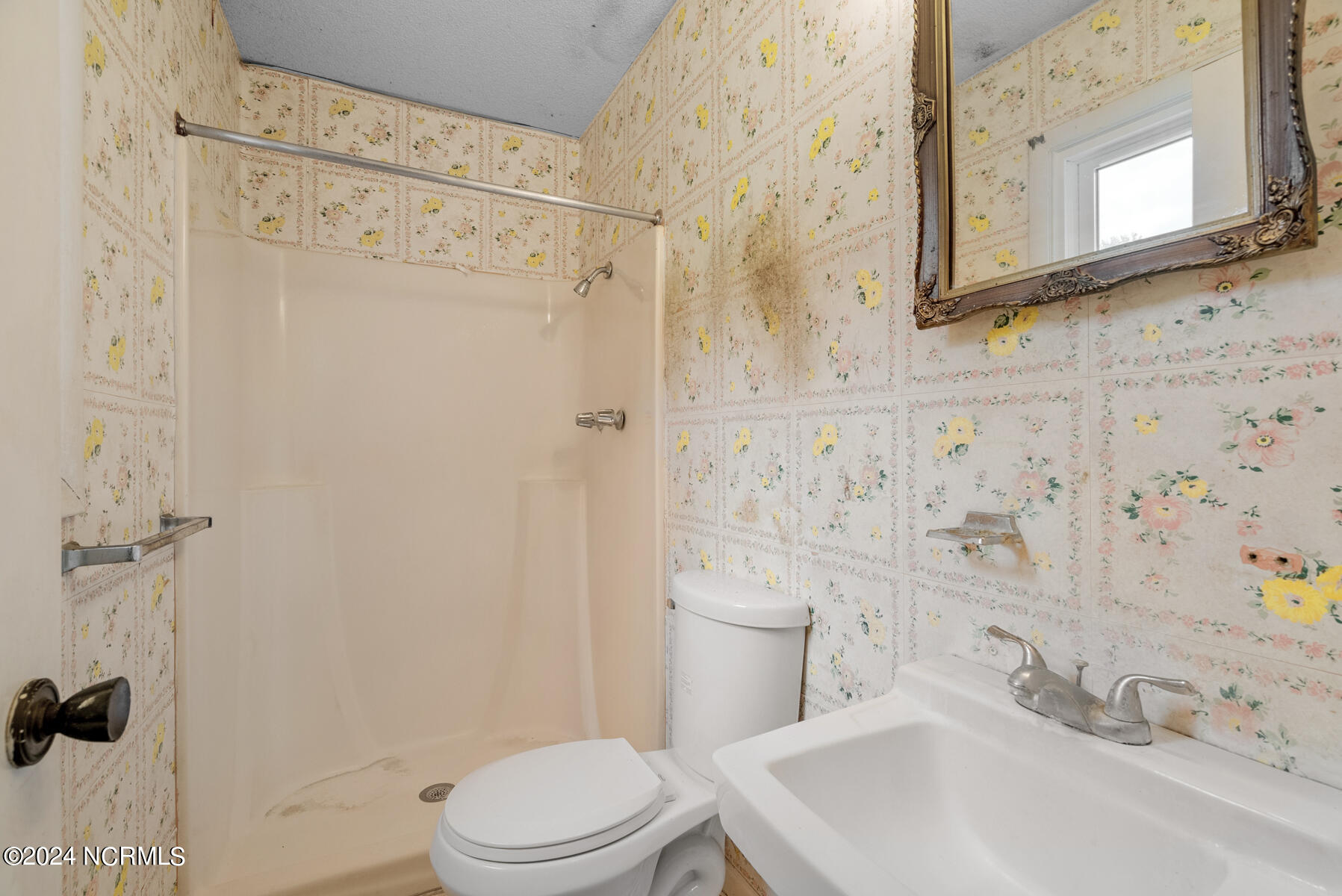 1178 Ball Road Elizabeth City, NC 27909 - Photo 14 of 29 Master Bathroom