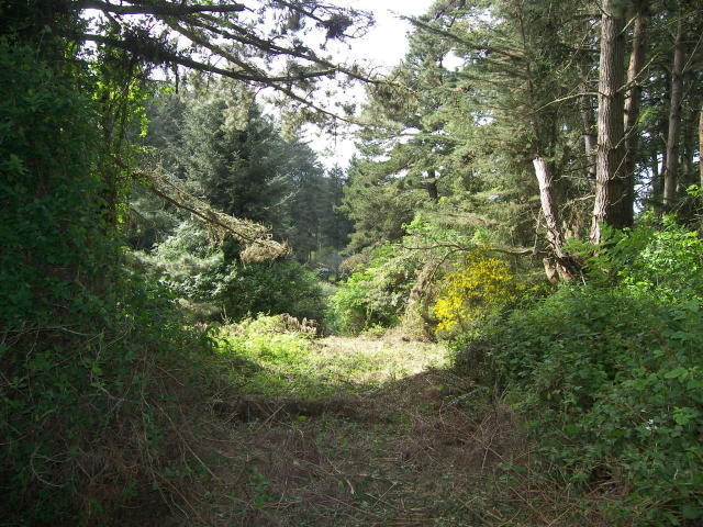 7156 Humboldt Hill Road Eureka, CA 95503 - Photo 28 of 31