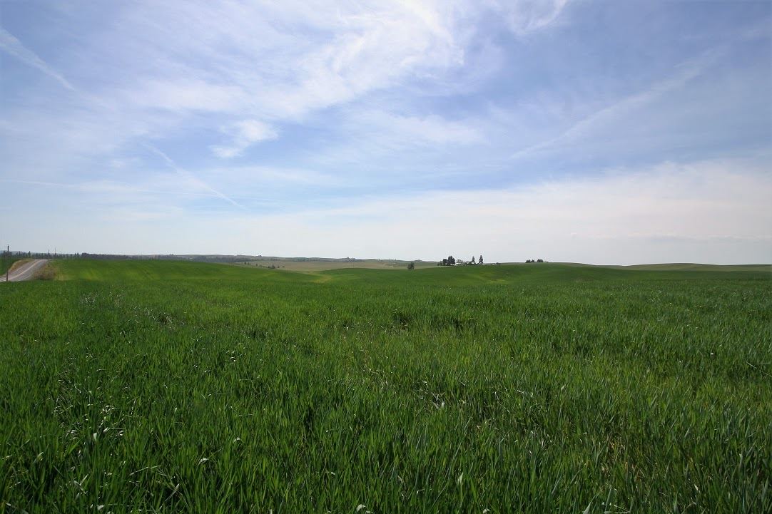 15670 South Madison Road, Unit ADDRESS STATED IS APPROXIMATE ONLY Valleyford, WA 99036 - Photo 1 of 19 Gallery Image 1