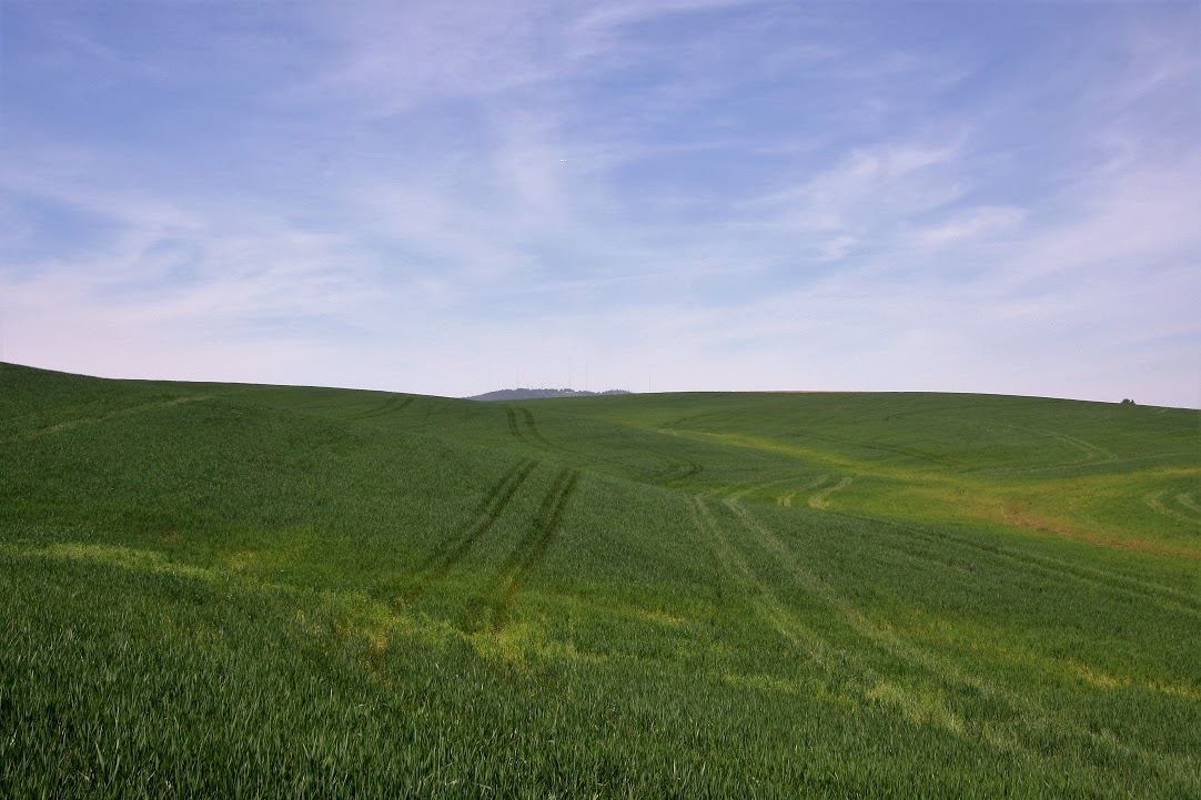 15670 South Madison Road, Unit ADDRESS STATED IS APPROXIMATE ONLY Valleyford, WA 99036 - Photo 9 of 19 Gallery Image 9
