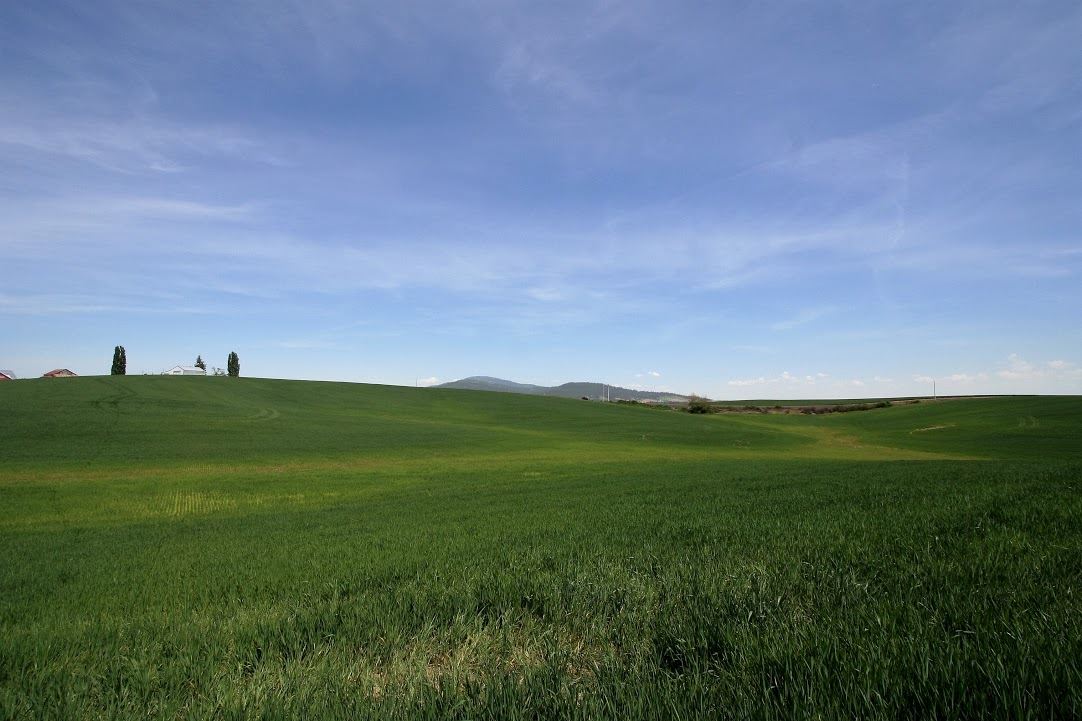 15670 South Madison Road, Unit ADDRESS STATED IS APPROXIMATE ONLY Valleyford, WA 99036 - Photo 10 of 19 Gallery Image 10