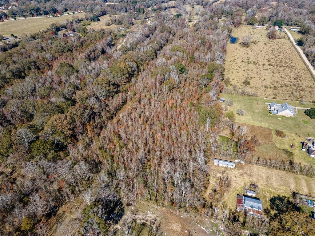 0 West Flonacher Road Zachary, LA 70791 - Photo 10 of 11