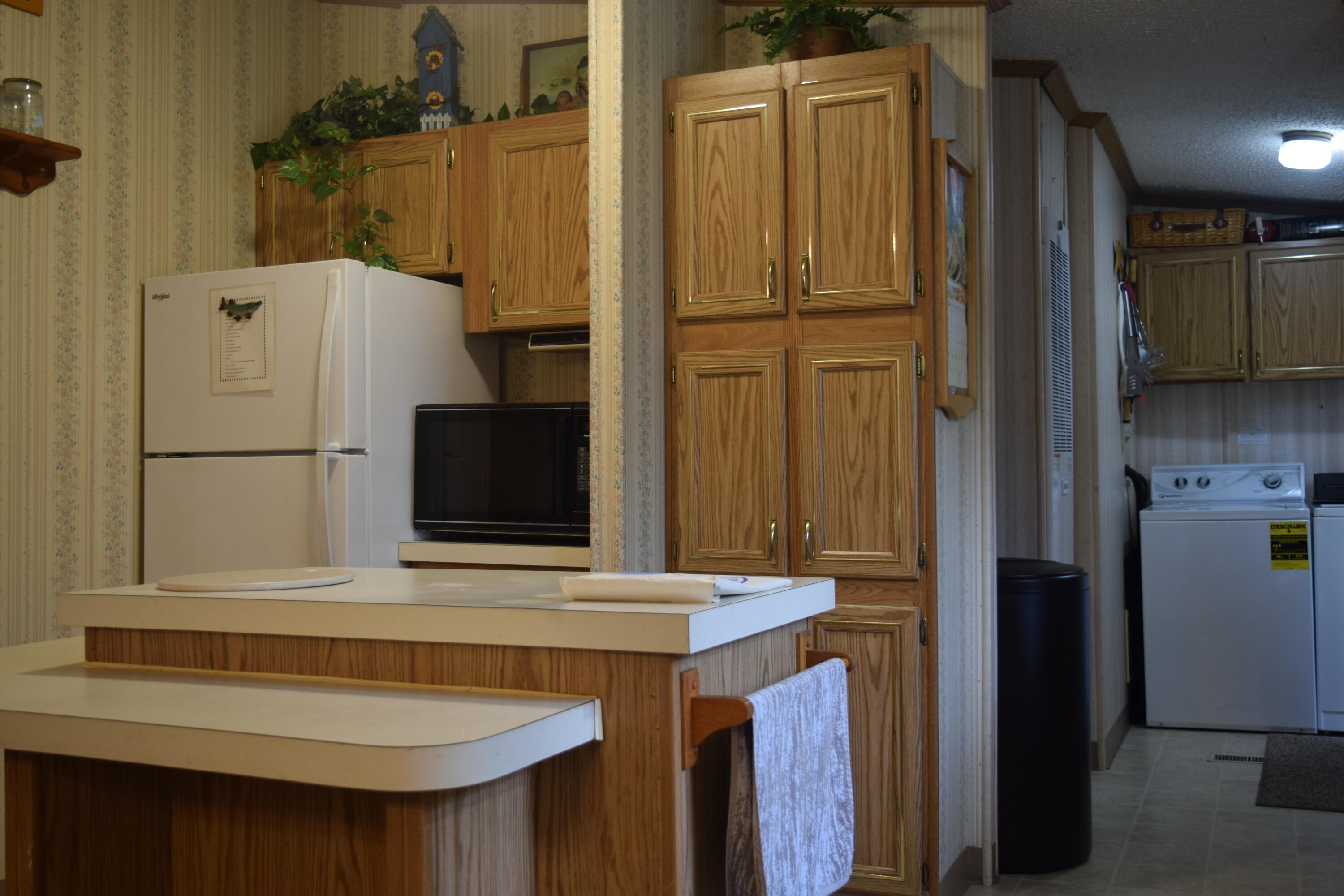 12230 Riverside Drive White Pigeon, MI 49099 - Photo 10 of 36 DSC_0328