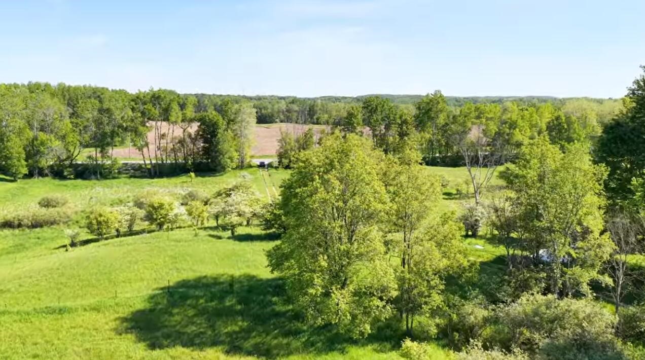 0 20 20 Mile Road Marion, MI 49665 - Photo 14 of 28
