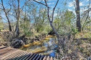 30263 Old Joseph Road Hockley, TX 77447 - Photo 4 of 10 a view of a forest with trees