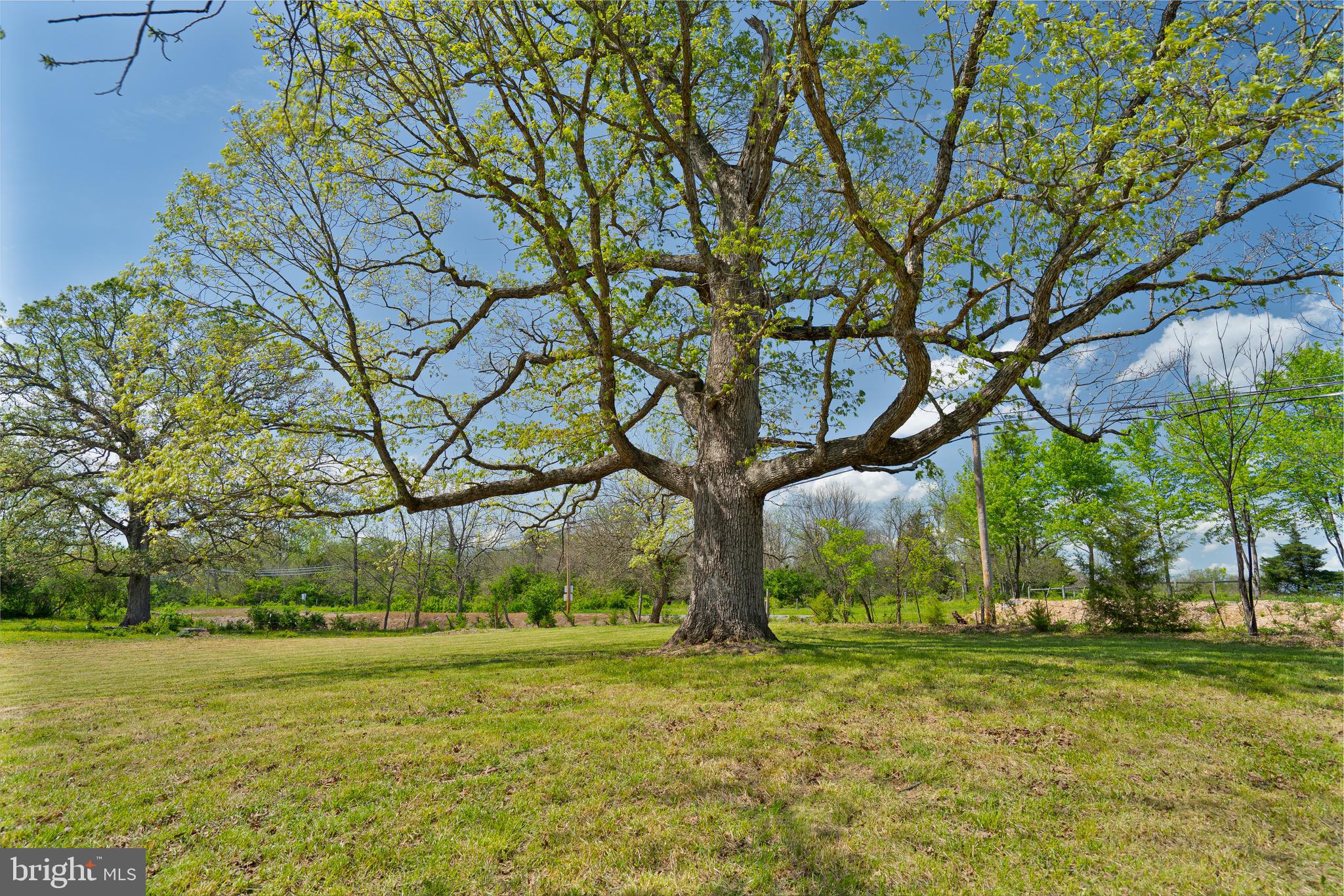 Lot 6 Old Waterloo Road Boyce, VA 22620 - Photo 15 of 16 Gallery Image 15
