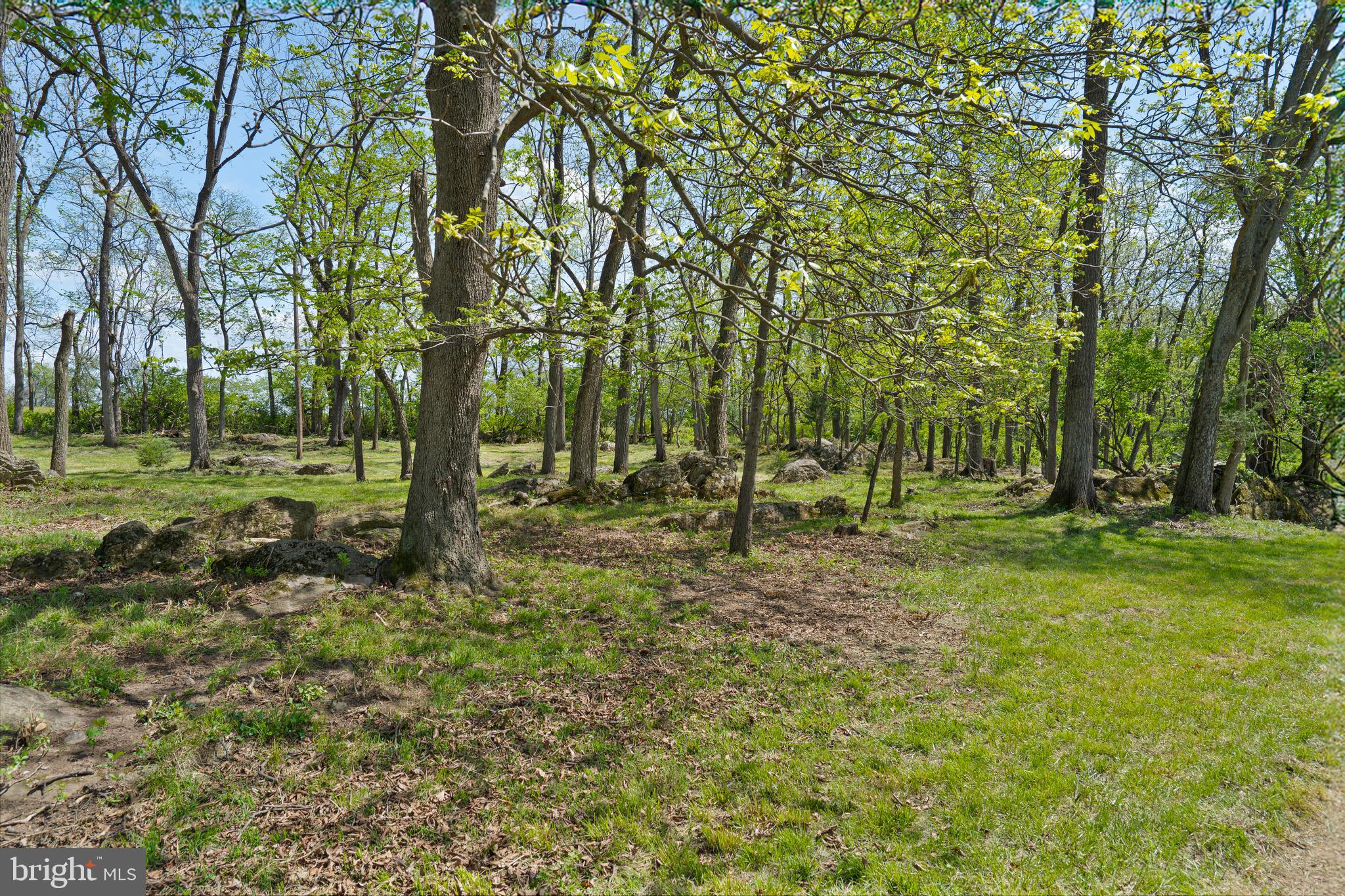 Lot 6 Old Waterloo Road Boyce, VA 22620 - Photo 9 of 16 Gallery Image 9