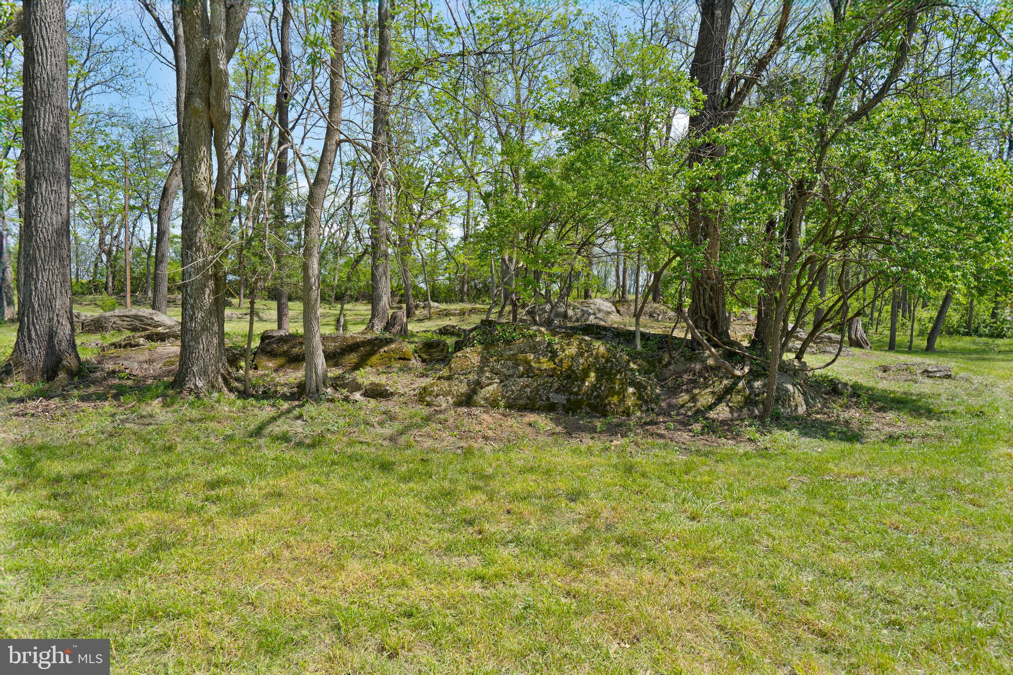 Lot 6 Old Waterloo Road Boyce, VA 22620 - Photo 10 of 16 Gallery Image 10