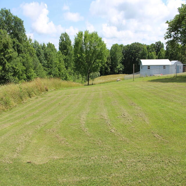 536 Coppage Road Russell Springs, KY 42642 - Photo 4 of 29 IMG_9501