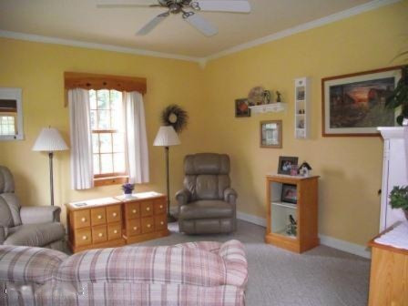 3502 East Johnson Road Custer, MI 49405 - Photo 3 of 29 b
