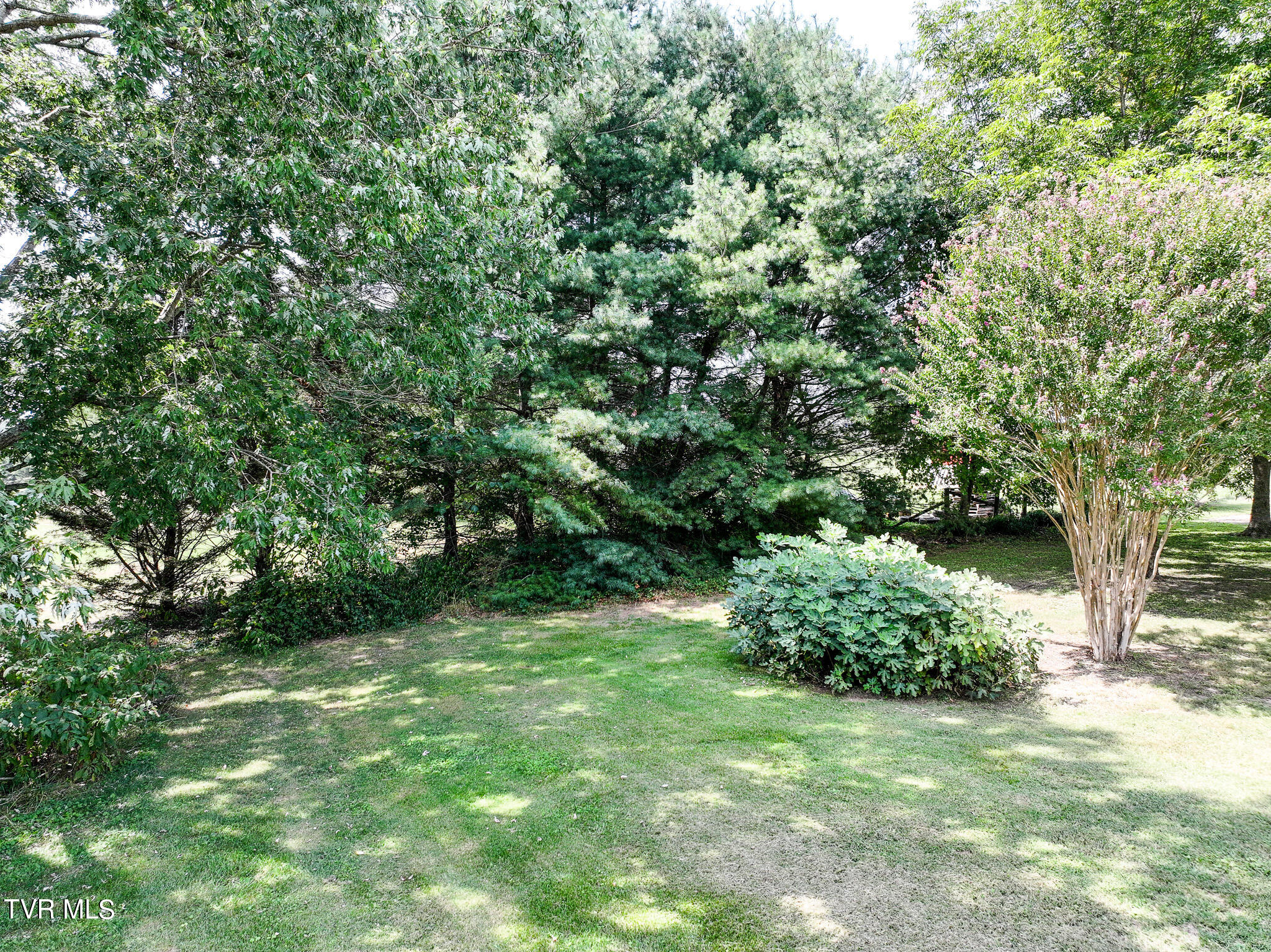 190 Golf Course Circle Greeneville, TN 37743 - Photo 34 of 40 DJI_20240829012016_0308_D