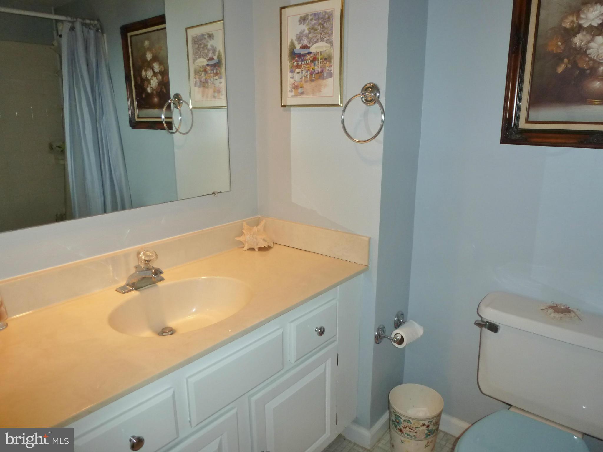 131 Environs Road Sterling, VA 20165 - Photo 12 of 18 Upper Level Hall Bath