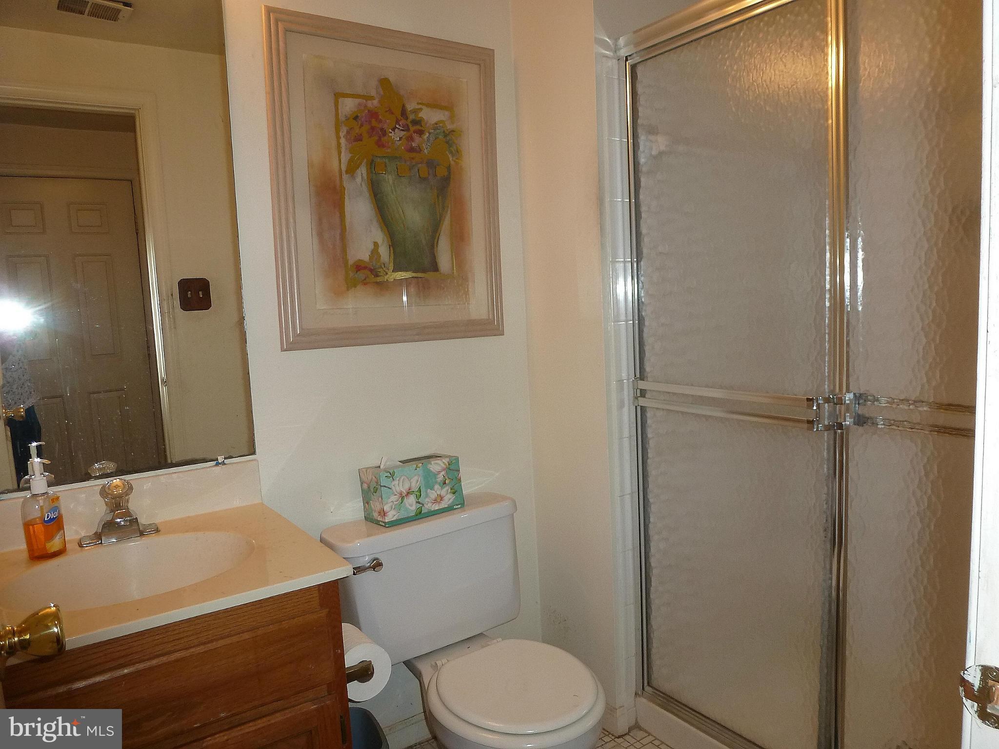 131 Environs Road Sterling, VA 20165 - Photo 14 of 18 Full Bath on Lower Level