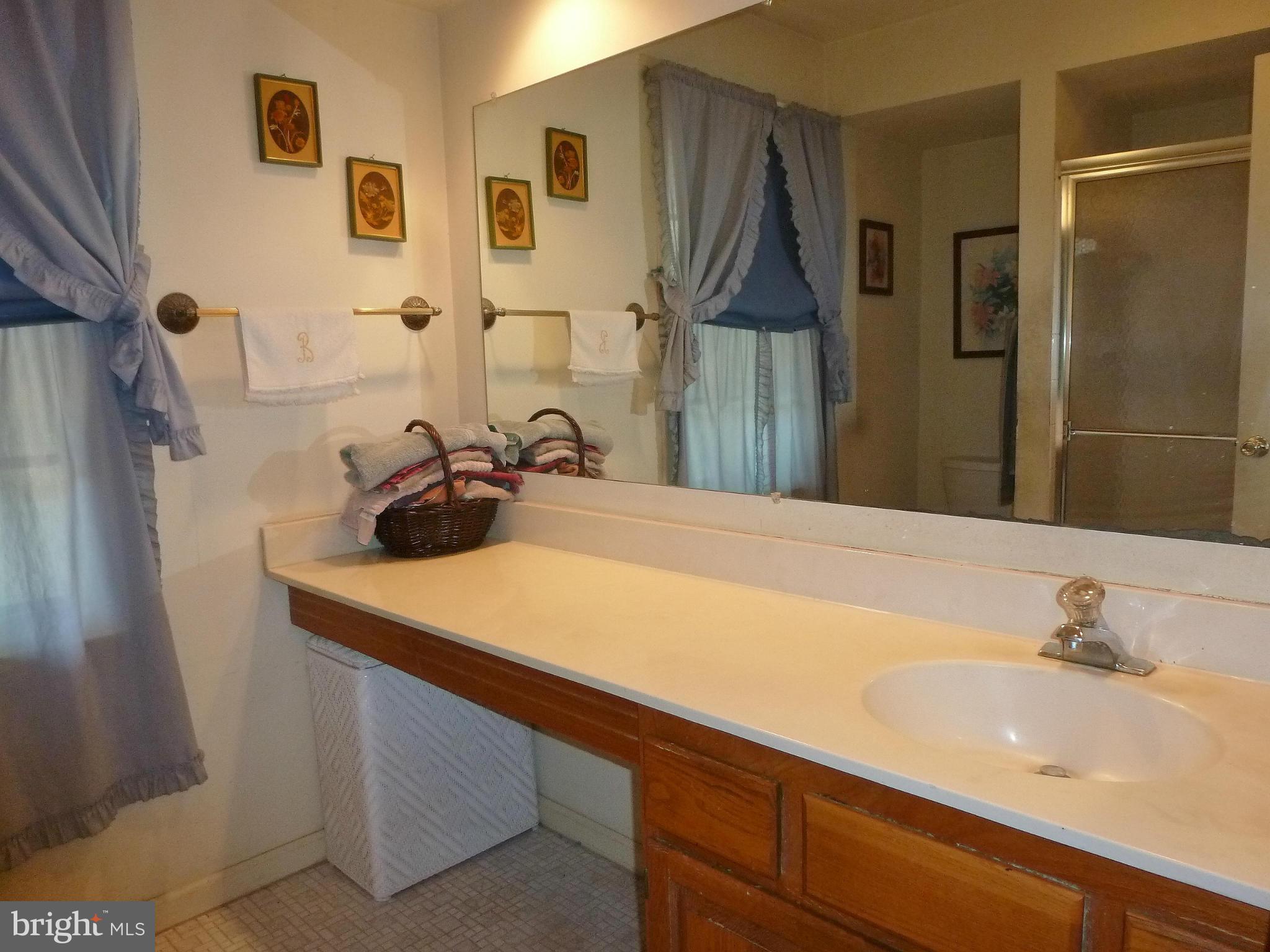 131 Environs Road Sterling, VA 20165 - Photo 9 of 18 Bath (Master)