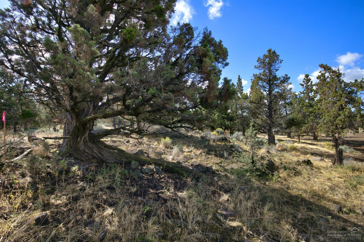 0 Northeast Butler Market Road Bend, OR 97701 - Photo 7 of 15 Additional Photo