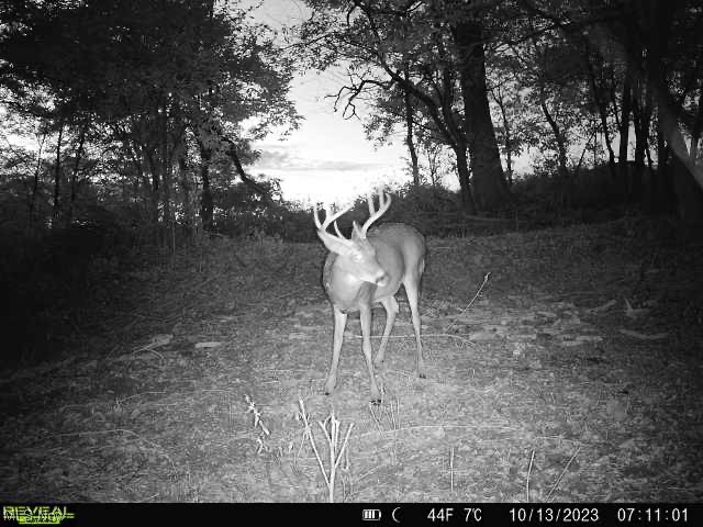 0 Couch Road Jewett, OH 43986 - Photo 30 of 34 View of nature