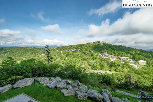 a view of a green field with lots of bushes