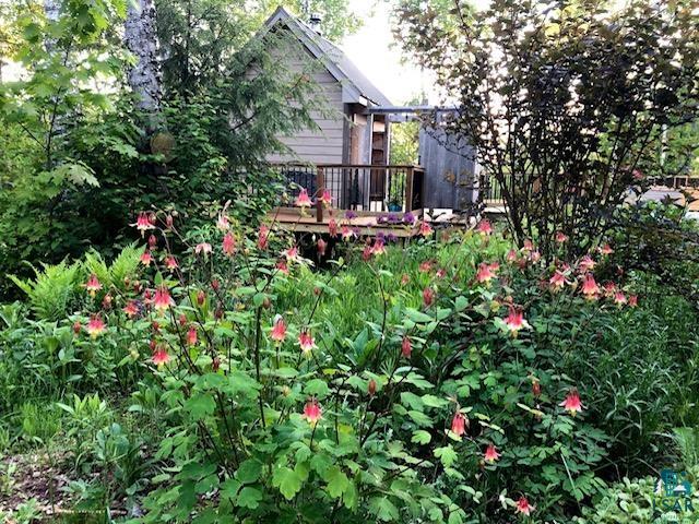 3346 Stockton Road La Pointe, WI 54850 - Photo 50 of 51 Lush perennial garden with abundant red and yellow columbine blooms