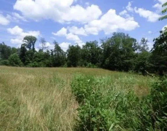 a view of a grassy field