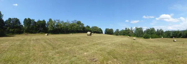 a view of outdoor space with trees all around
