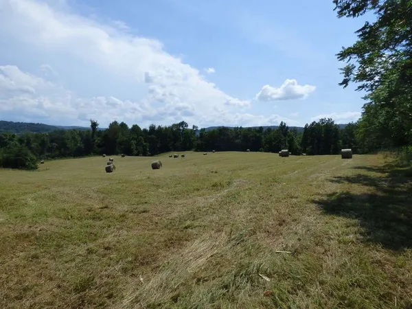 a view of a green field