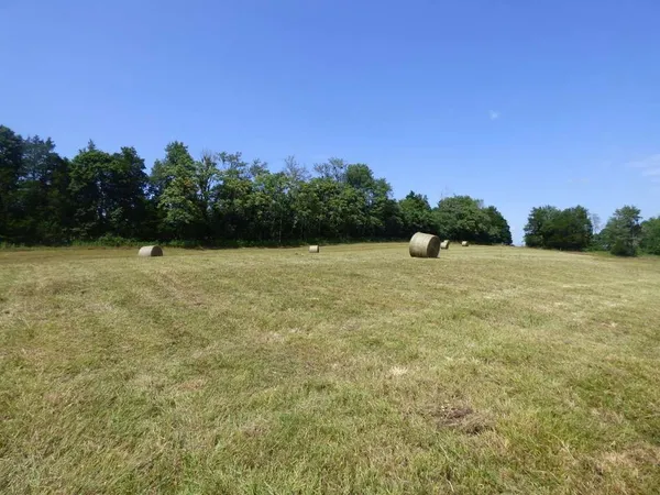a view of a field with a tree in the background