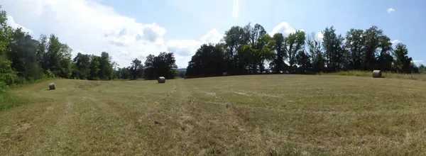 a view of outdoor space with trees