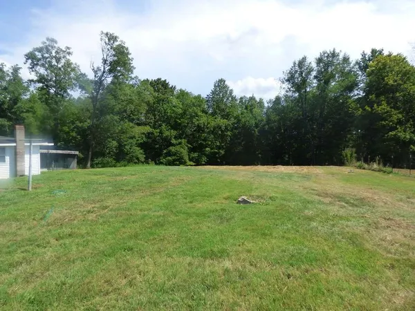 a view of green field with trees in the background