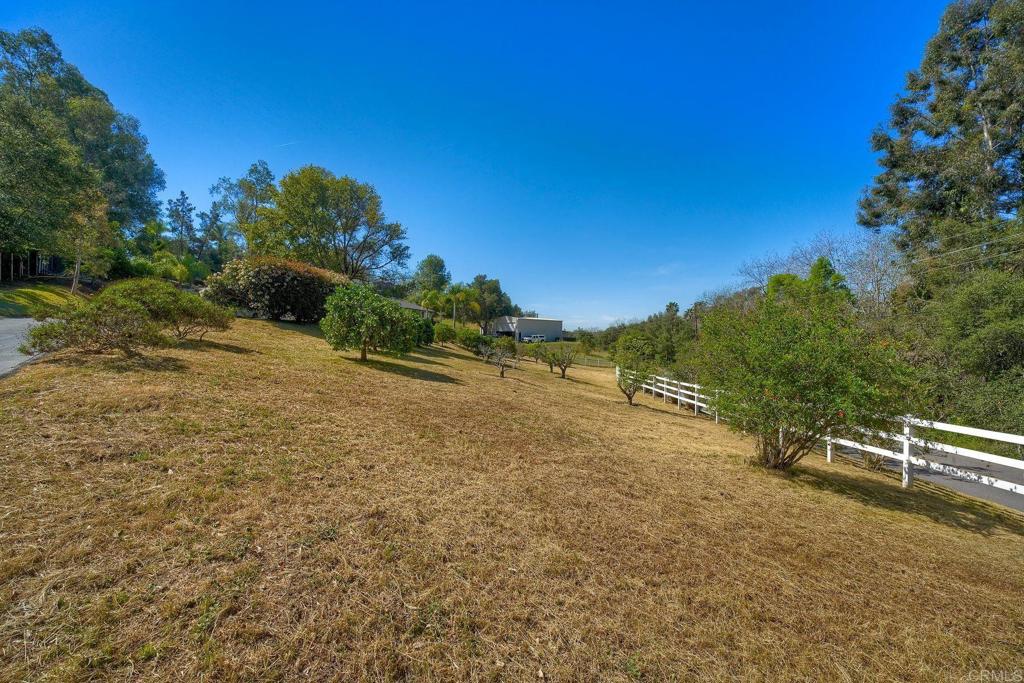 2830 Green Canyon Road Fallbrook, CA 92028 - Photo 32 of 43 Front orchard