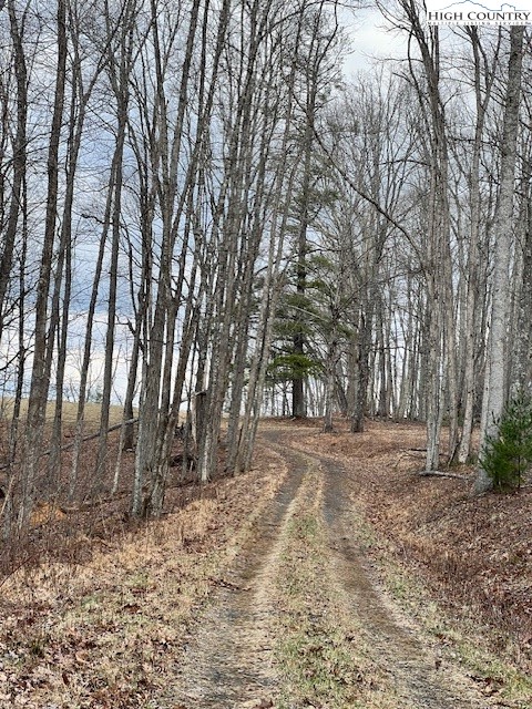 Mcneill Road Lansing, NC 28643 - Photo 2 of 18