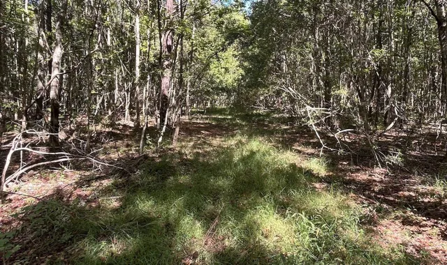 $680,000 | 0 McLeod Road, Walterboro, SC 29488