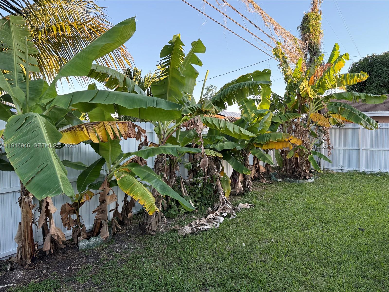 16605 Southwest 103rd Court Miami, FL 33157 - Photo 22 of 28