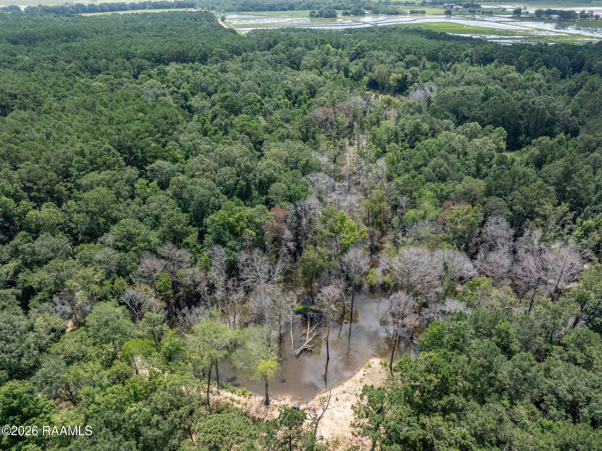 301 Crabapple Road Iota, LA 70543 - Photo 27 of 40 27-web-or-mls-DJI_20260630010235_0064_D