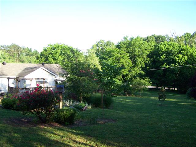 1390 Porter Morris Road Chapmansboro, TN 37035 - Photo 15 of 20 Back yard view from far rear corner.
