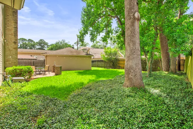 a view of a garden with a tree in the background