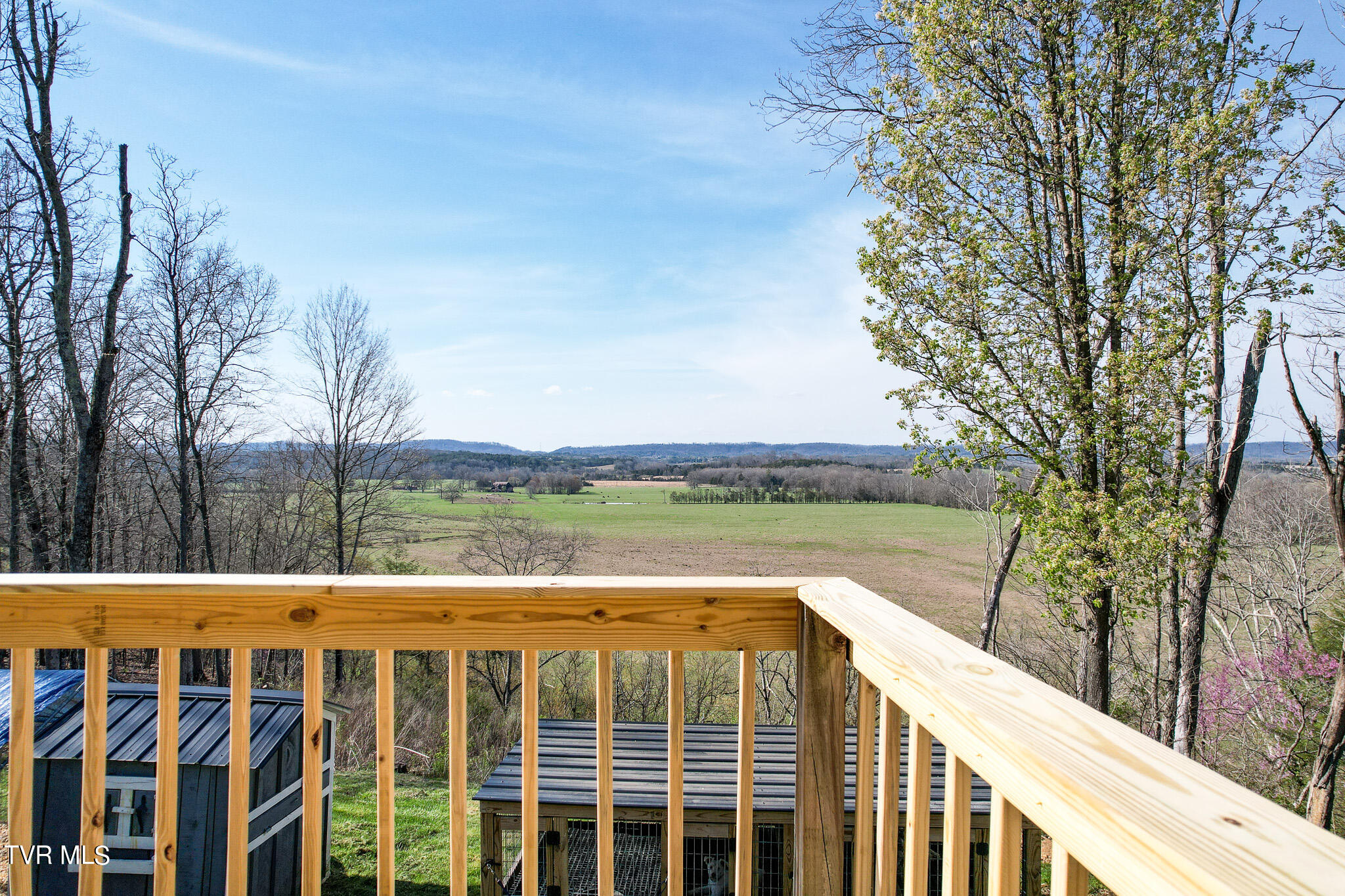 705 Mohawk Creek Road Midway, TN 37809 - Photo 39 of 48 DJI_0041