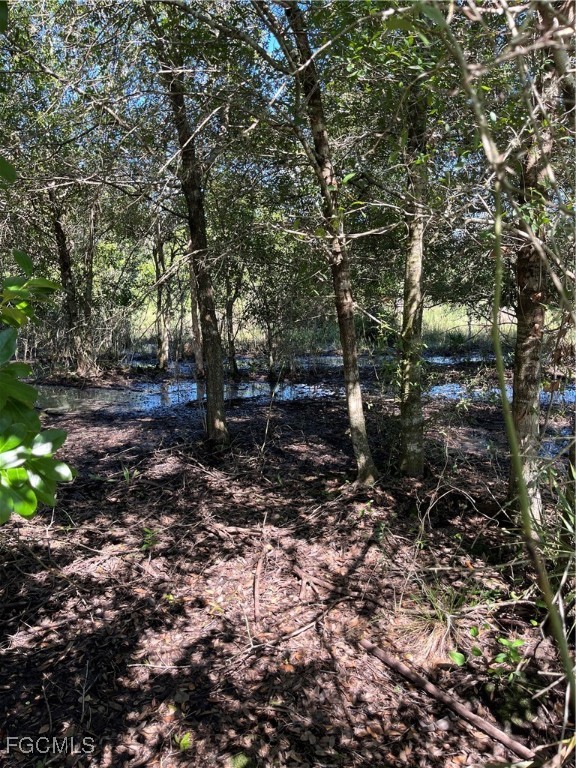 7845 Coffey Road Moore Haven, FL 33471 - Photo 2 of 3 a view of outdoor space and yard