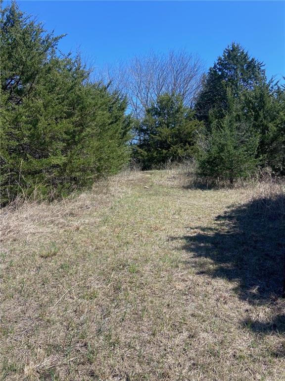 0 Vacant - Phillips Road Perry, KS 66073 - Photo 5 of 15