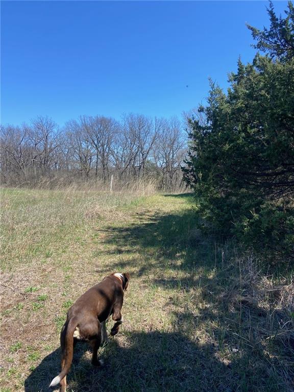0 Vacant - Phillips Road Perry, KS 66073 - Photo 6 of 15
