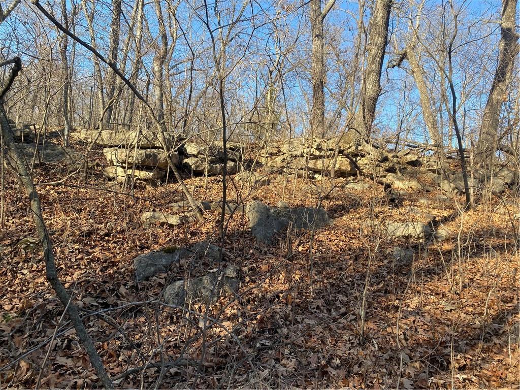 0 Vacant - Phillips Road Perry, KS 66073 - Photo 7 of 15
