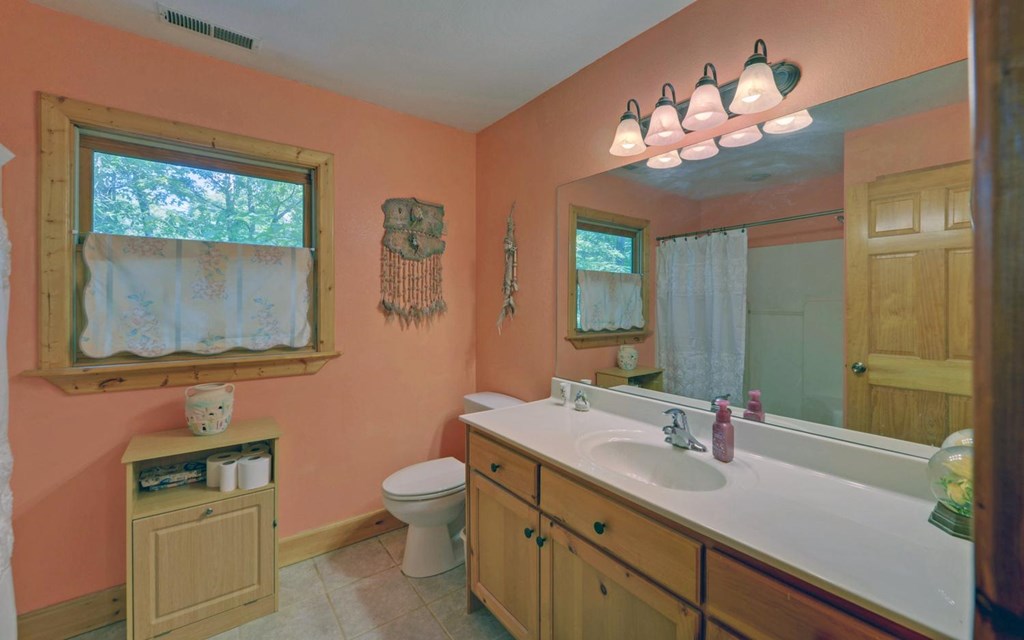 164 Dew Drop Lane Murphy, NC 28906 - Photo 20 of 49