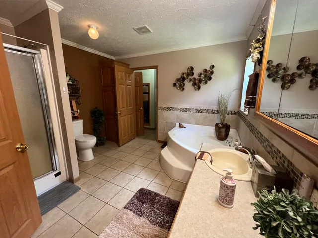 a view of backyard with green space